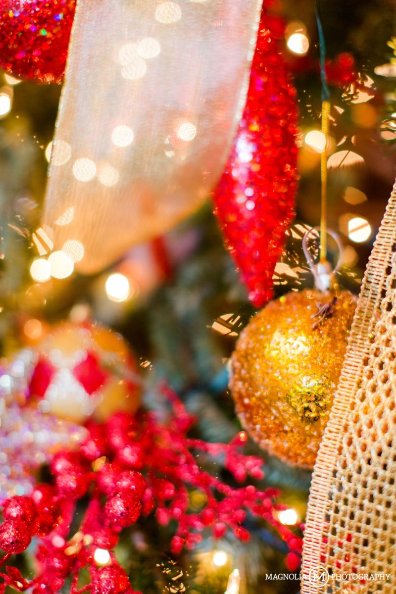 Rose Hill Plantation Christmas Wedding Holly + David Married